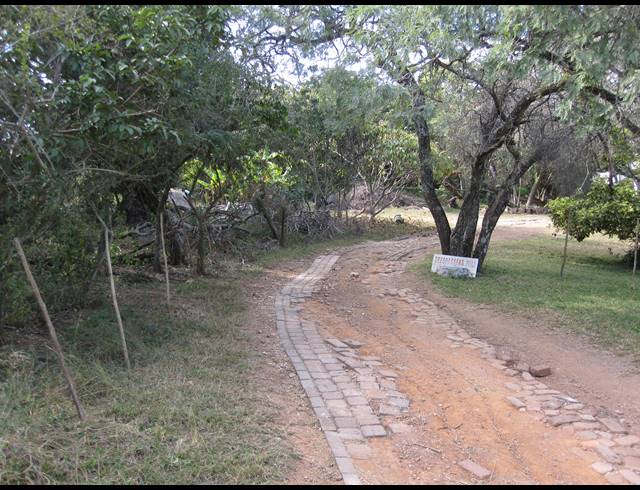 24.60HA FARM FOR SALE IN BERYL